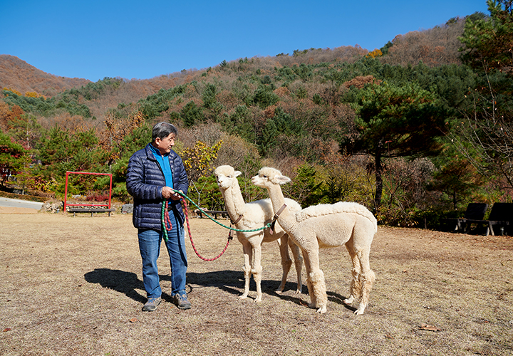 알파카하우스 사진3